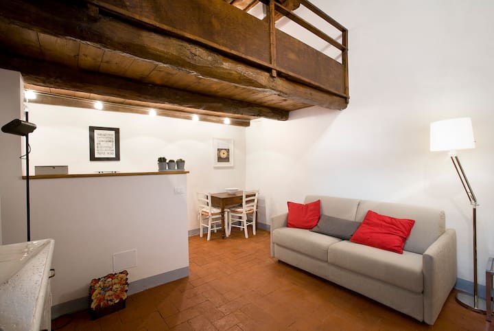 Characteristic apartment in the heart of Florence