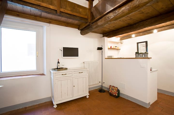 Characteristic apartment in the heart of Florence