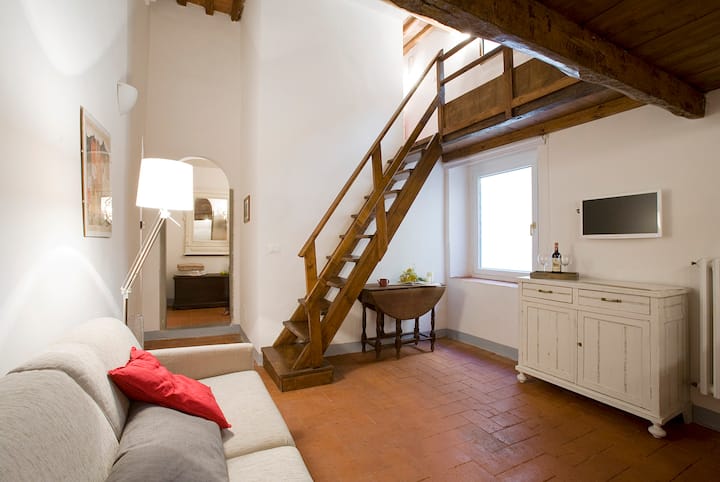 Characteristic apartment in the heart of Florence