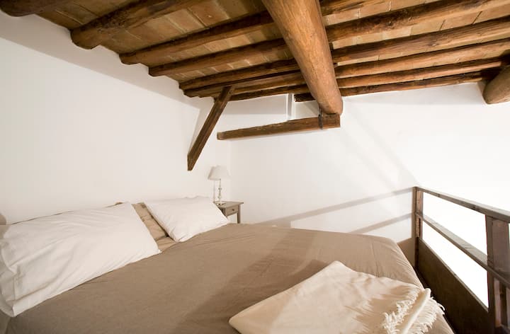 Characteristic apartment in the heart of Florence
