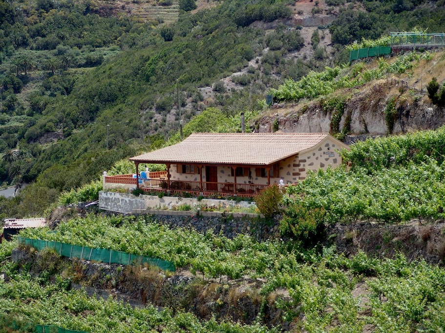 Casa Quilla rodeada de viña