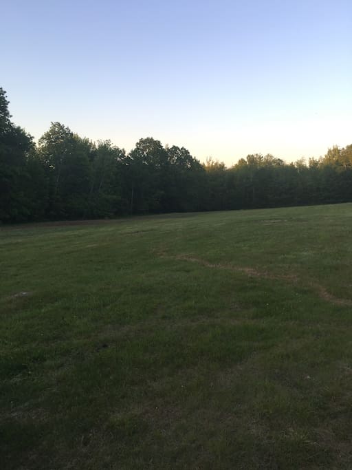 Beautiful fields to roam with miles of walking trails.