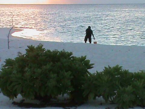 Hide away for a while...