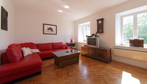 Successful Airbnb property: Vila Dane - experience Karst in Sežana