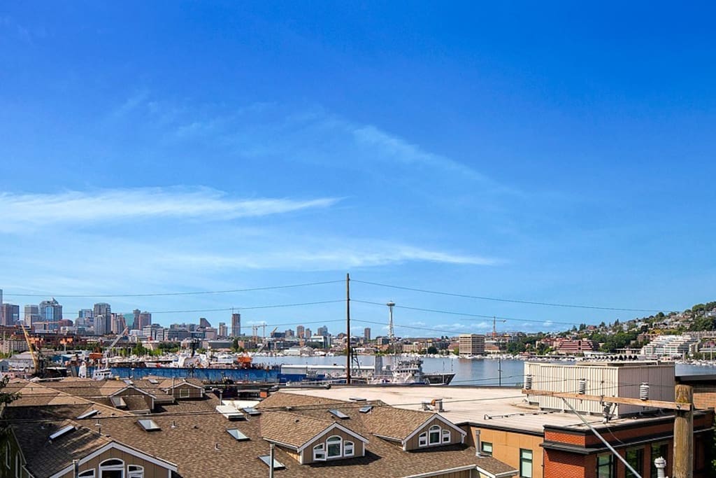 Private Rooftop Deck w/ SPACE NEEDLE VIEWS!