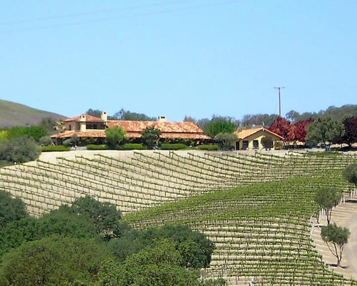 Vineyard Estate Near Wineries (Private Pool) Houses for Rent in San