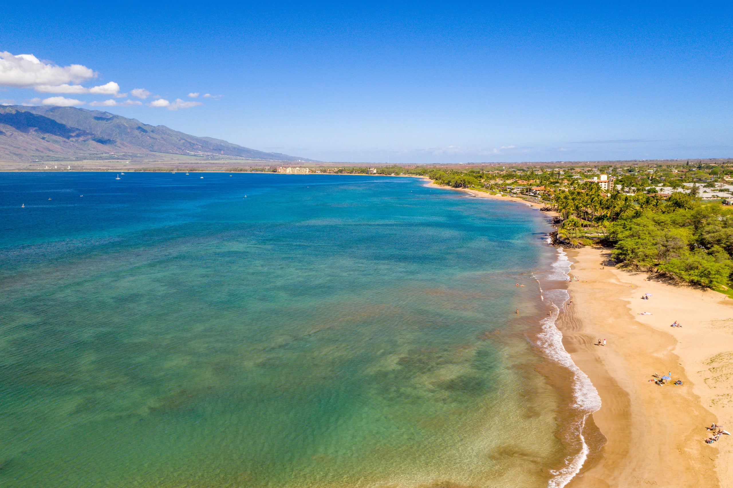 Kauhale Makai - Oceanfront Property - Image 24