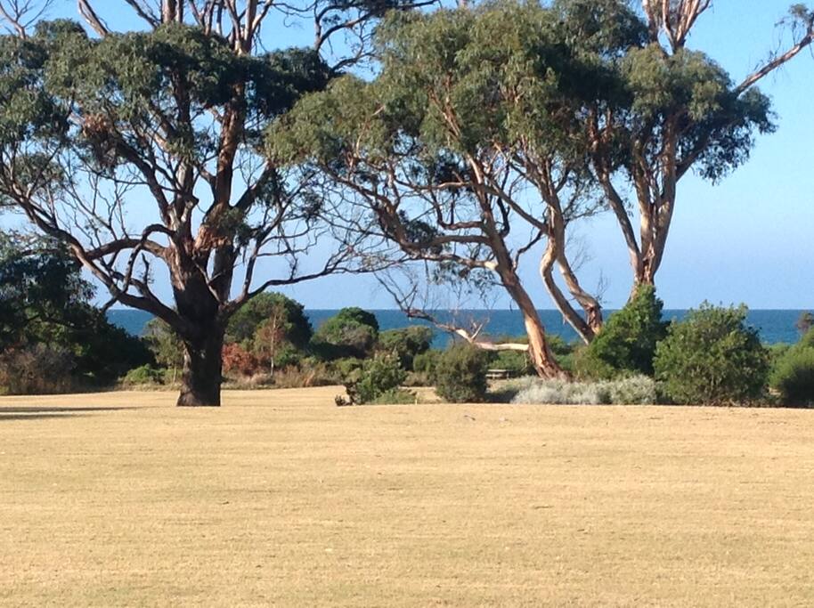 View from nature strip