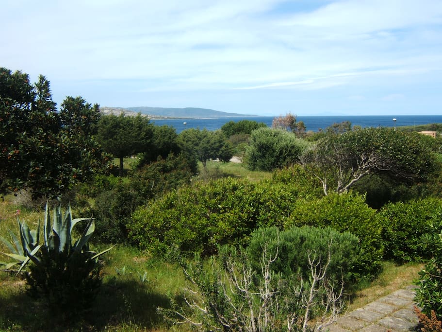 Vista da casa sull'isola dell'Asinara