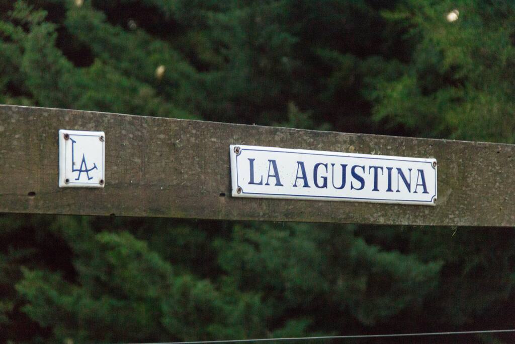 Bienvenidos