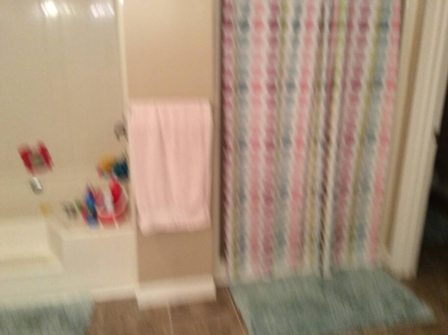 Guest bathroom