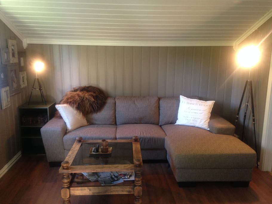 Living room with a cozy atmosphere. The couch is comfortable to sleep on if you think the bed is too small for two.