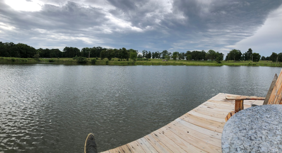 A wooden dock extends over a calm lake, reflecting the overcast sky. Lush greenery is visible along the shoreline, providing a serene backdrop. The image captures the peaceful ambiance of the scene, perfect for nature observation and relaxation.