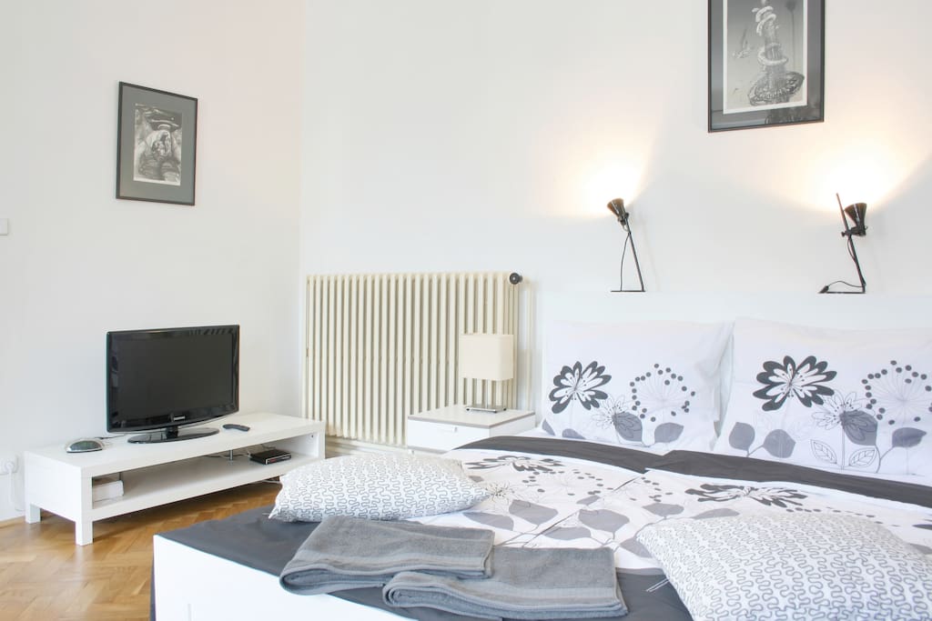 Centrally Located Private Apartment Apartments for Rent in Prague
