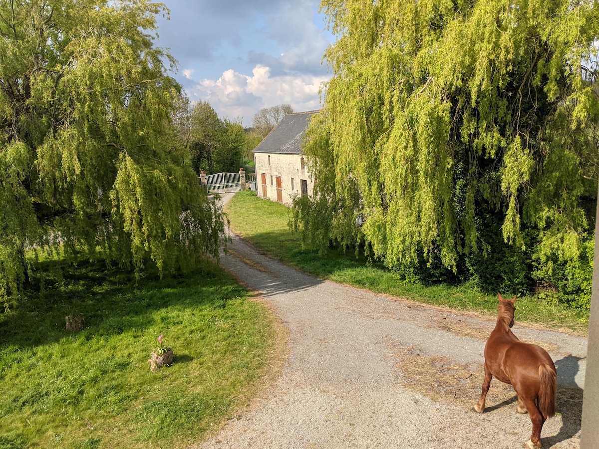 A gravel path leads towards a rustic farmhouse framed by lush green trees. A brown horse stands nearby, observing the surroundings. The image captures the serene rural landscape, with the farmhouse hinting at its intimate connection with nature.