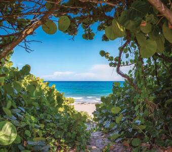 Jupiter’s KOZY KOTTAGE - minutes from the beach!