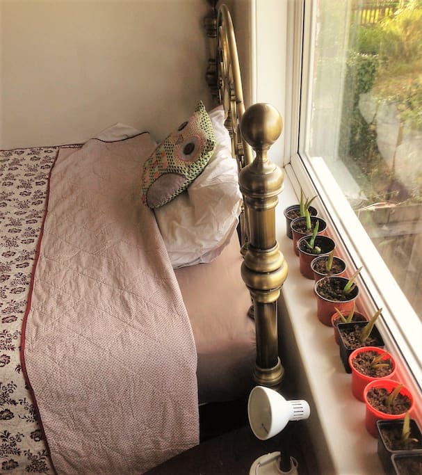 The room gets the morning sunshine.