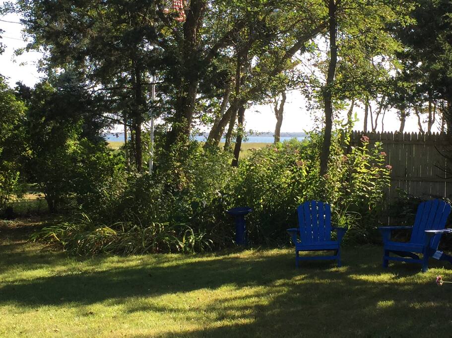 Back yard