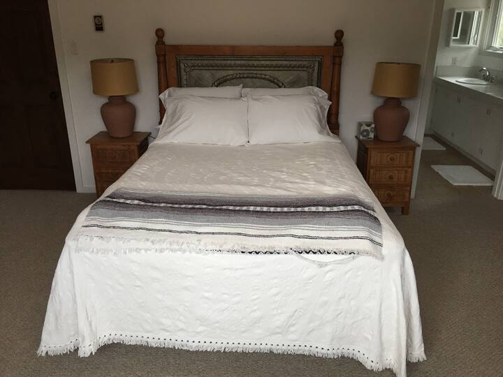 Bedroom with Queen bed and Queen sofa bed.