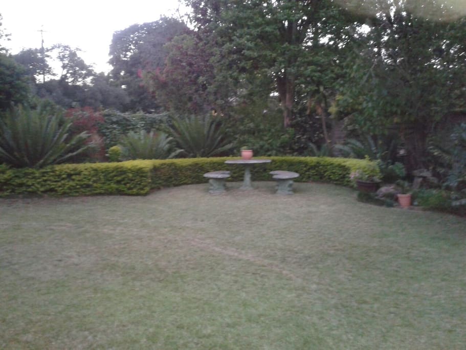 Garden view