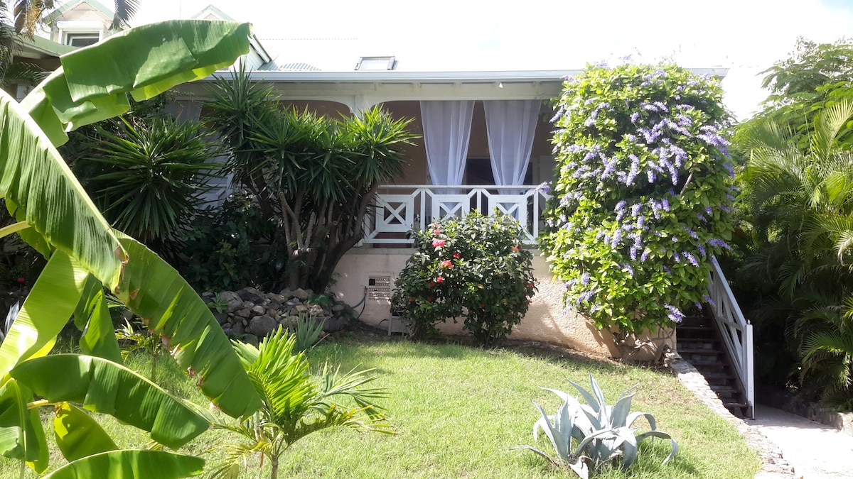 A modern studio is set within a lush tropical garden, featuring a variety of greenery and flowering plants. A staircase leads up to a covered porch with white railings, creating an inviting entryway. Natural light filters through the curtains framing the windows.