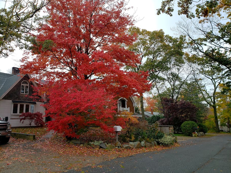 Gotta love the fall season in Rockport Ma
