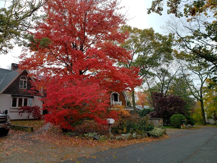 Rockport Vacation Rentals Cottage and House Rentals Airbnb