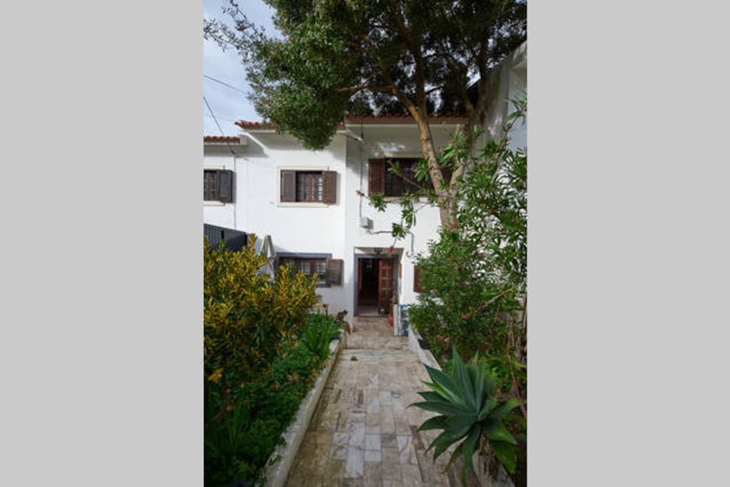 The front of the House