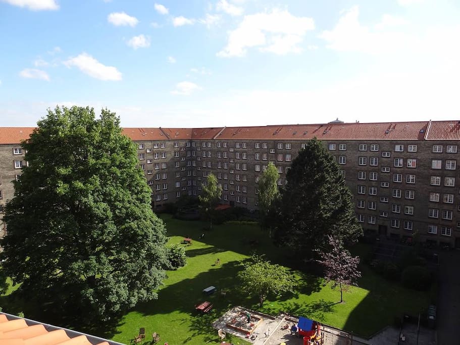 A nice view of the yard from the kitchen windows