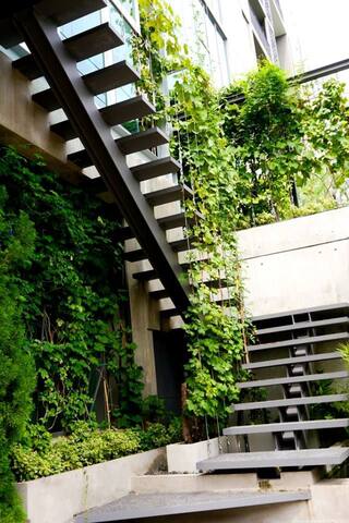 Bangkok’s Ultimate Glass Tree House gallery image 4