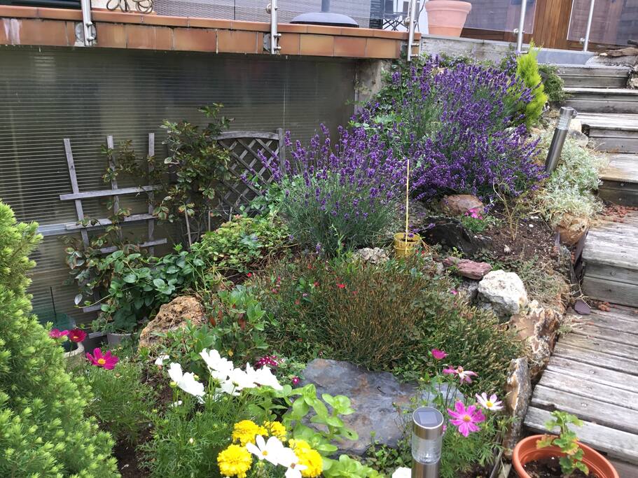 espace vert rocaille