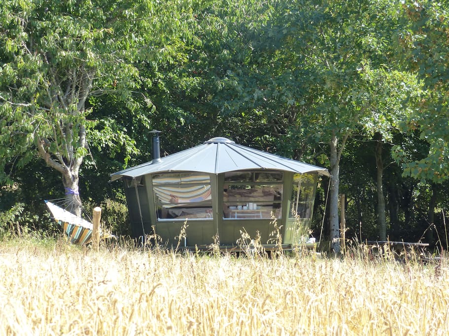 Fingle Caban nestled on the edge of a copse with great views over Fingle Woods and the Teign Valley