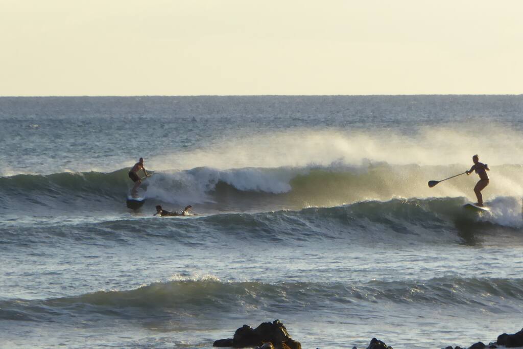 Try stand-up paddle board surfing in the afternoon.