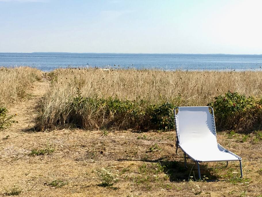 Den 2600 m2 store have slutter ca. 20 meter fra strandkanten