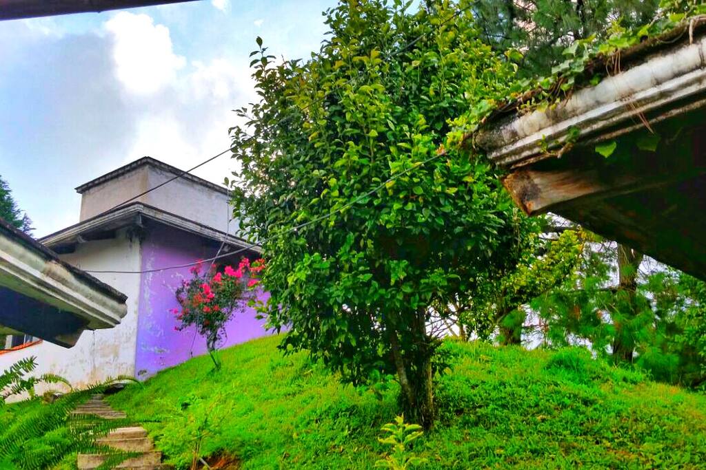 Naturaleza.