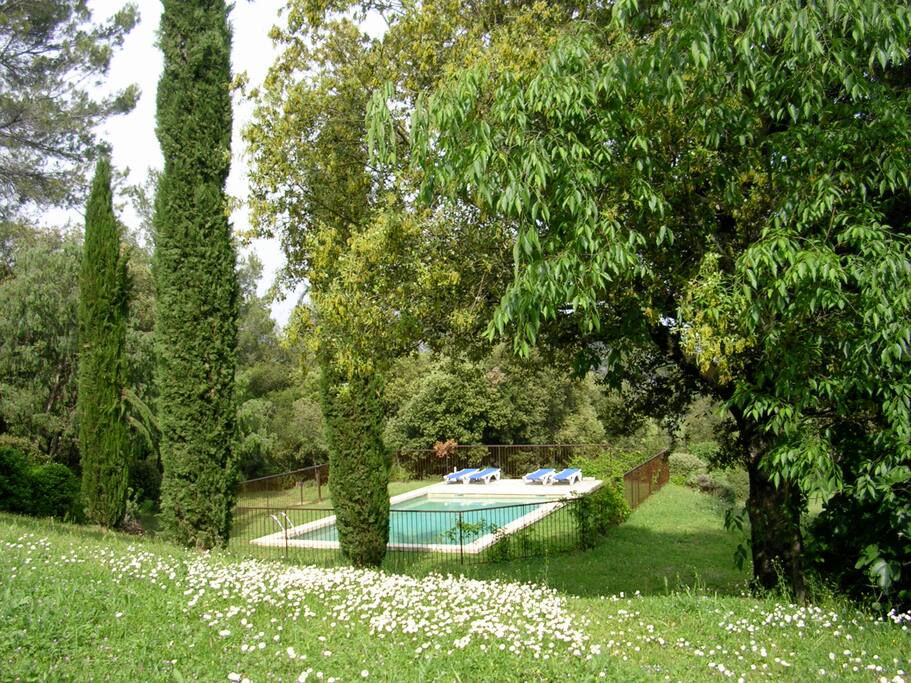 Tower House piscine