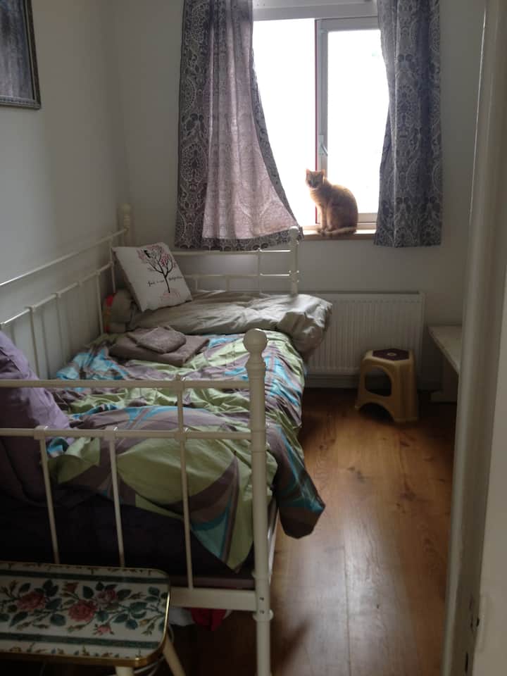 Casa Vrolik, Amsterdam, Oosterparkbuurt Bnb 1pp