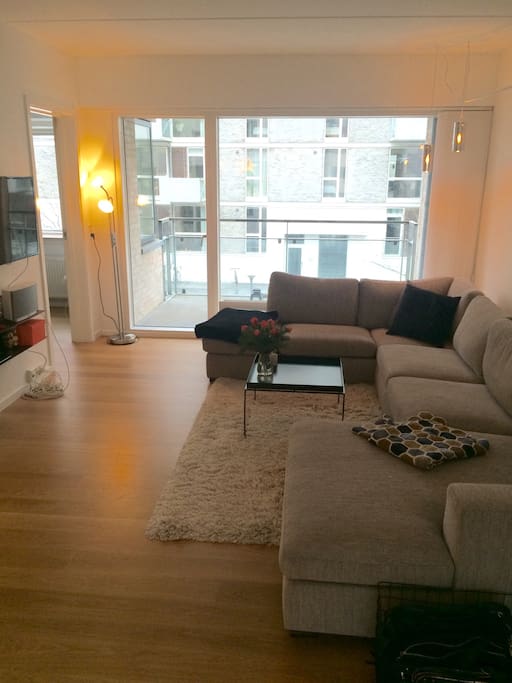 Living room with TV