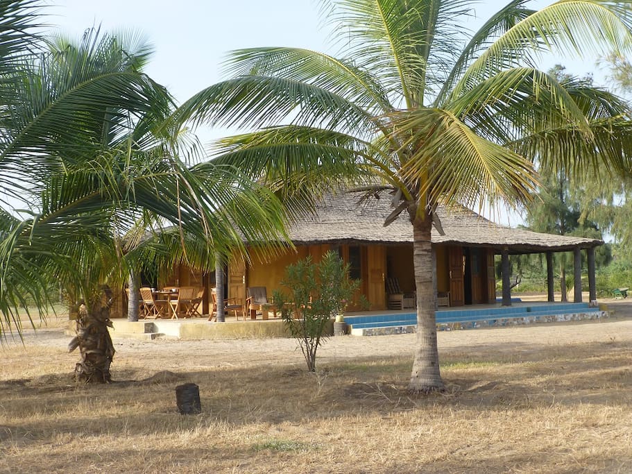 La maison avec les cocotiers