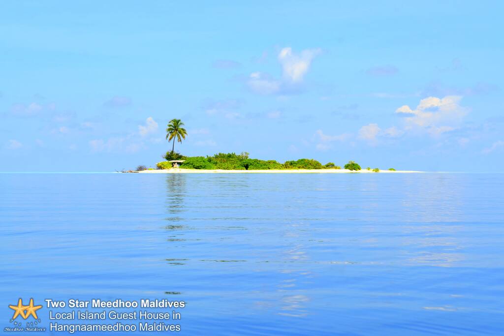 Picnic Island