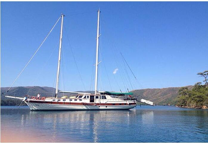 Baris & Aniko managed Airbnb listing 3