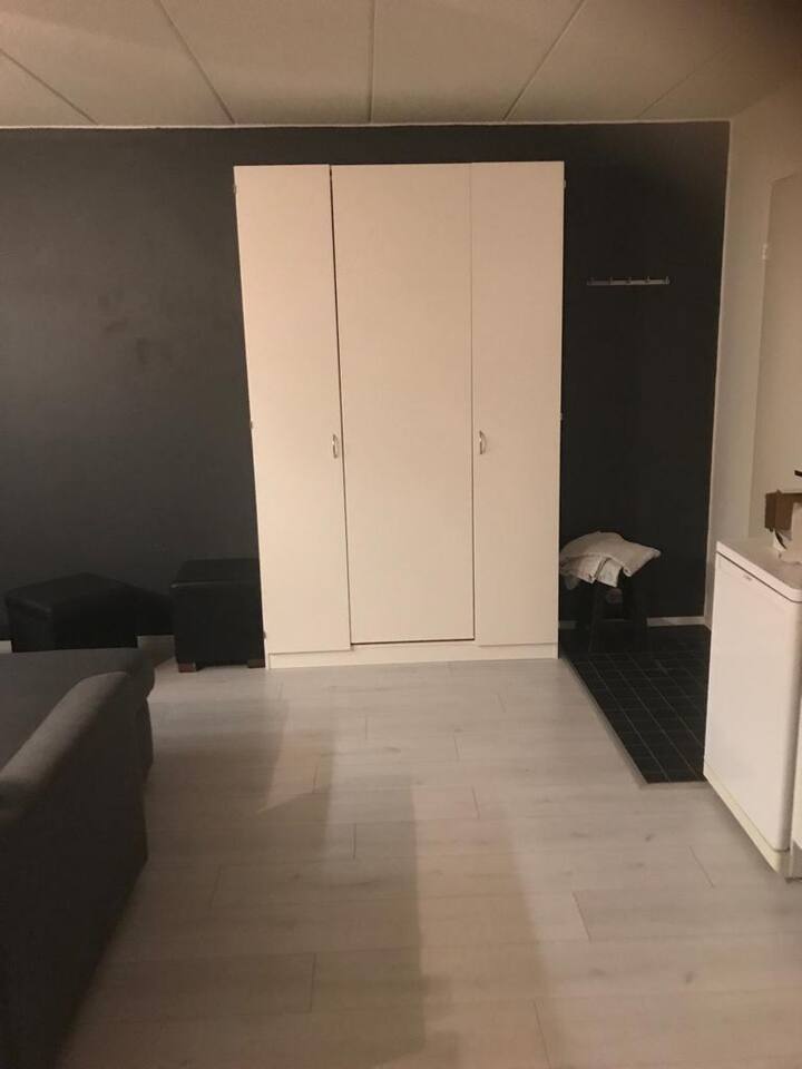 Viihtyisä Yksiö+sauna / Cozy Apartment With Sauna - Hämeenkyrö