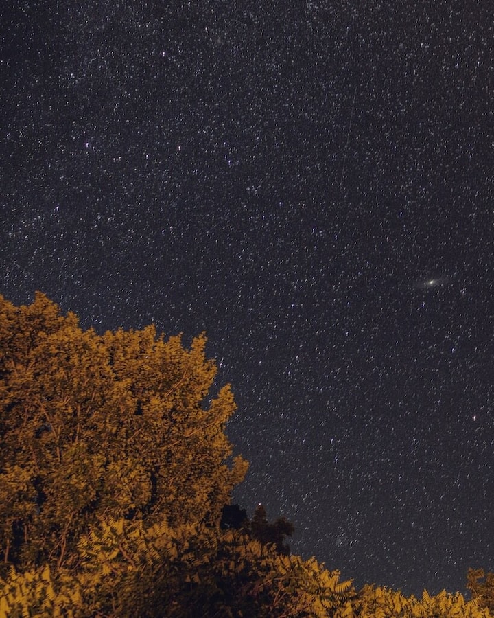 Starry skies in the backyard