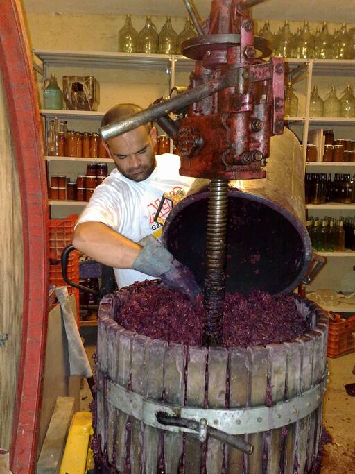 preparazione vino