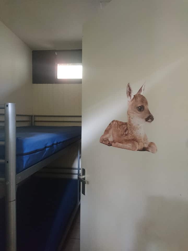 Habitación 1