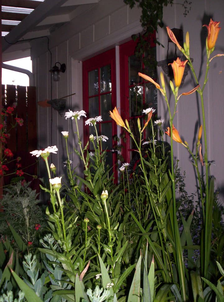 " sweet little garden studio " Guest suites for Rent in Talent