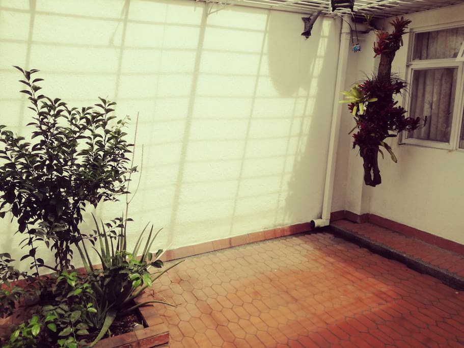 Patio exterior