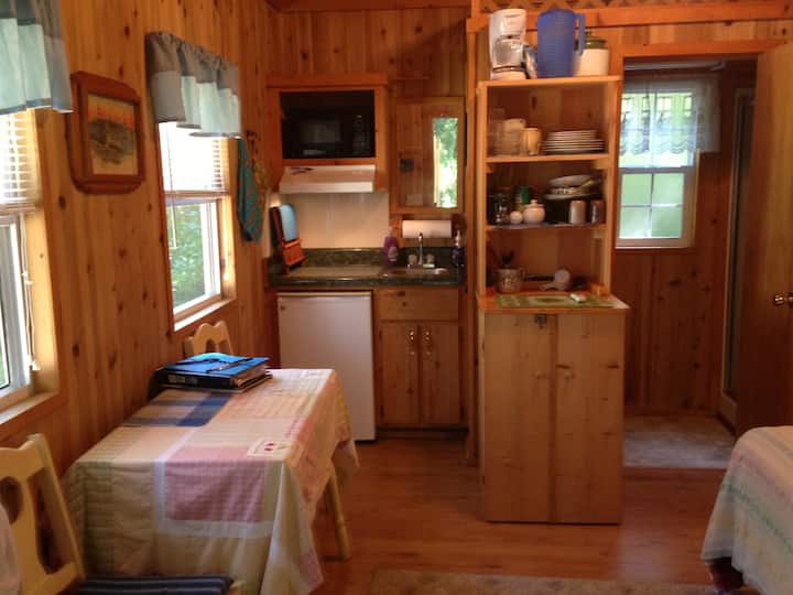 Rum Island Cabin on Santa Fe River Tiny houses for Rent in Fort White