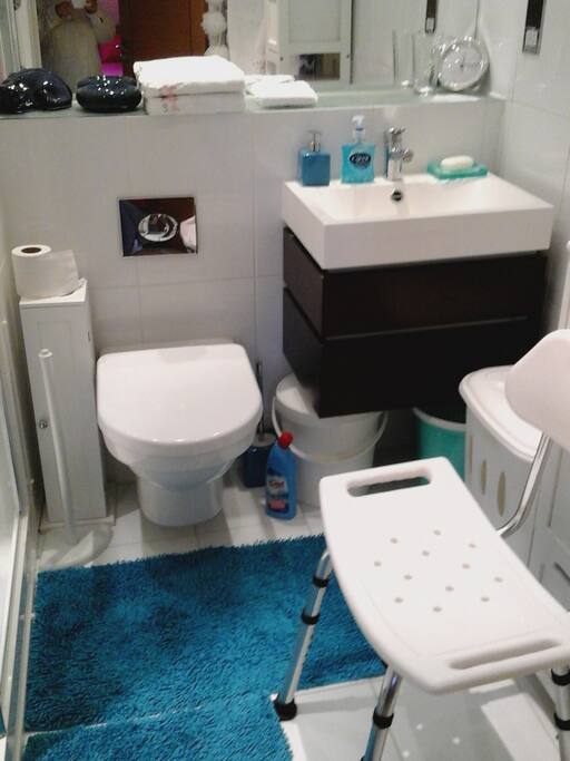 Bathroom - wash hand basin and toilet, shower on left of picture.
