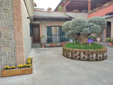 Midway House Apartment